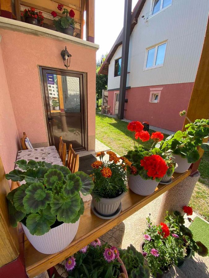 Appartamento Apartman Kaljevic Žabljak Esterno foto